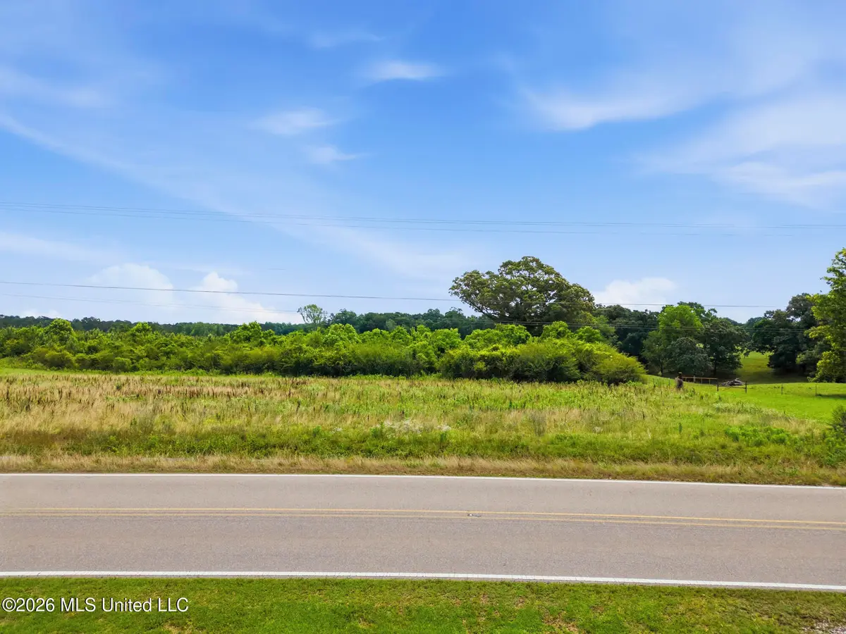 00 Ms Highway 29, Ovett, MS 39464 - #1