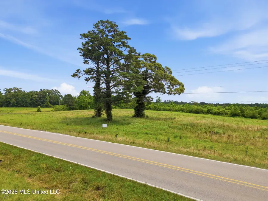 Ms Highway 29, Ovett, MS 39464 - #2