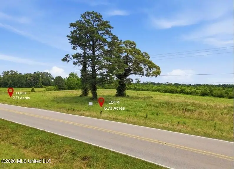 Ms Highway 29, Ovett, MS 39464 - #3