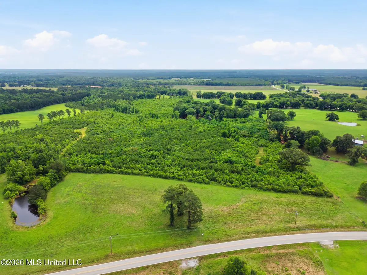 00 Ms Highway 29, Ovett, MS 39464 - #1