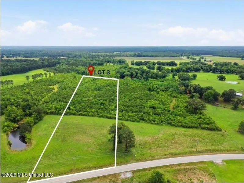 00 Ms Highway 29, Ovett, MS 39464 - #2