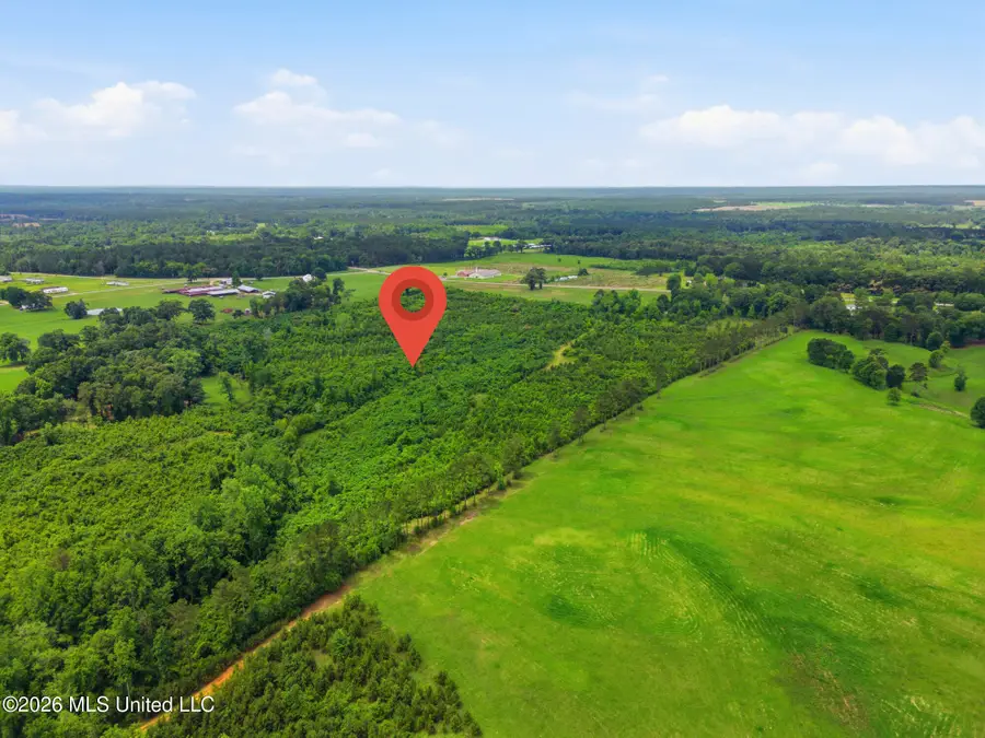 00 Ms Highway 29, Ovett, MS 39464 - #3