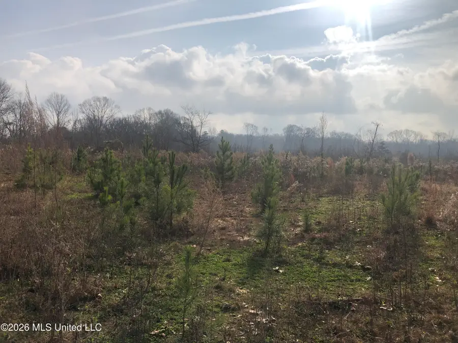 Tommy Ford Road, Utica, MS 39175 - #2