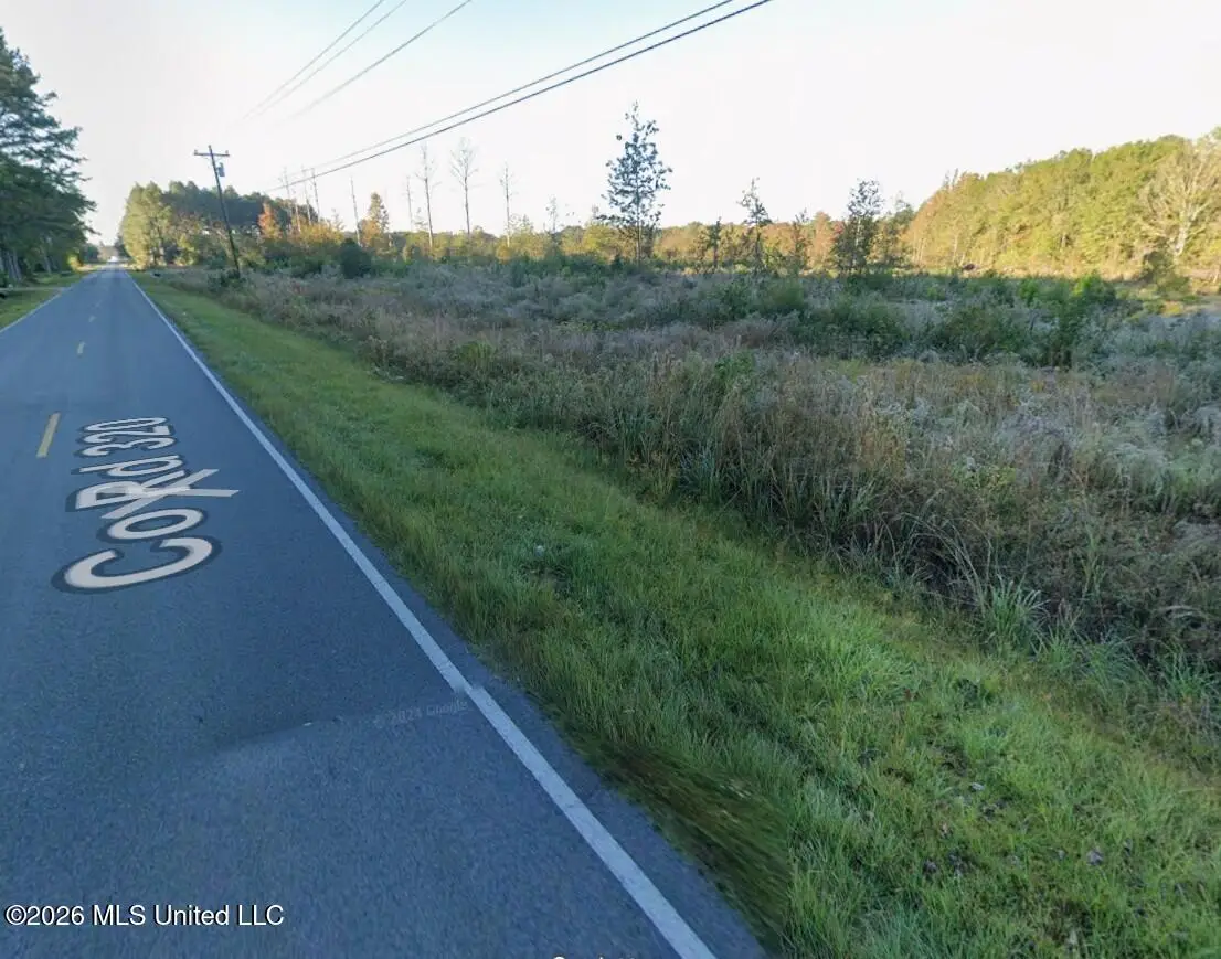 County Road 320, Enterprise, MS 39330 - #1