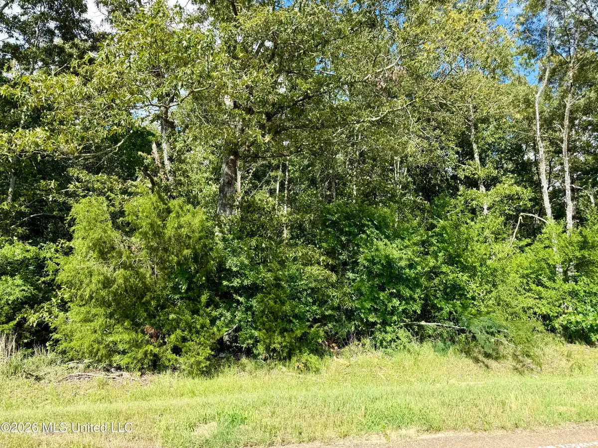 Ebenezer-pickens Rd Road, Lexington, MS 39095 - #1