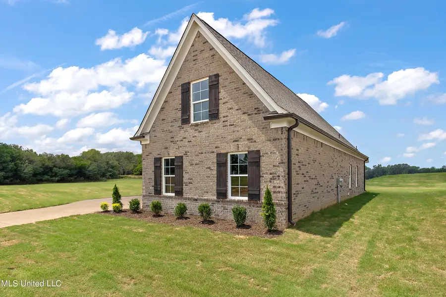 6519 Benjamin Cove, Walls, MS 38680 - #2