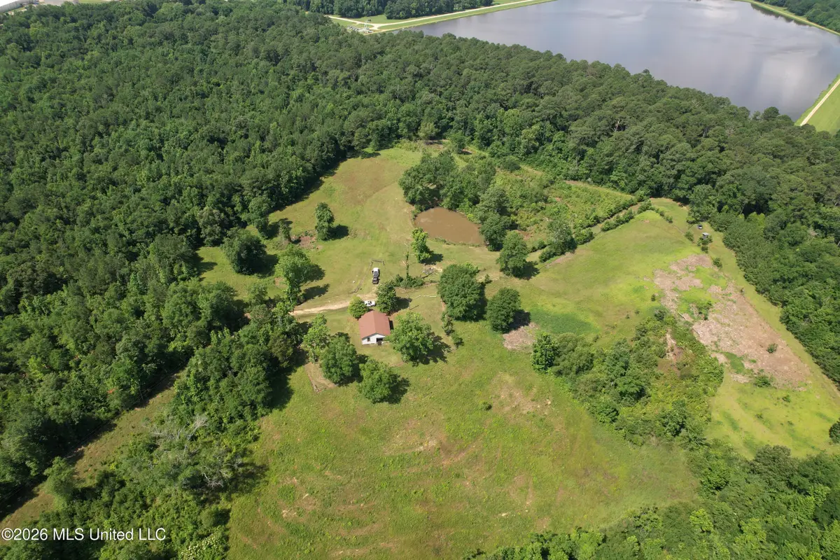 91 Levester Smith Lane, Silver Creek, MS 39663 - #1