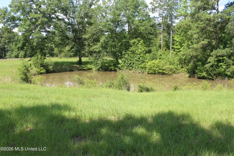 91 Levester Smith Lane, Silver Creek, MS 39663 - #3