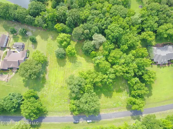 Overview Road, Starkville, MS 39759