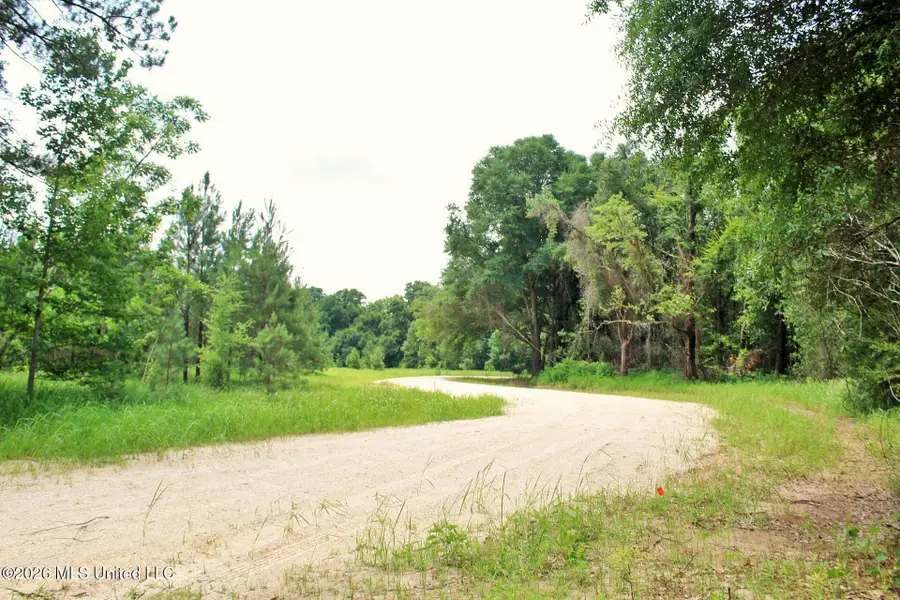 24.48ac River Road, Lucedale, MS 39452 - #2