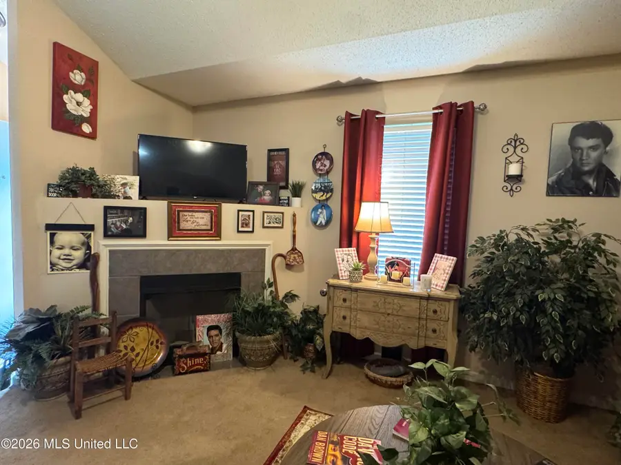 7291 Madelyn Cove, Horn Lake, MS 38637 - #3