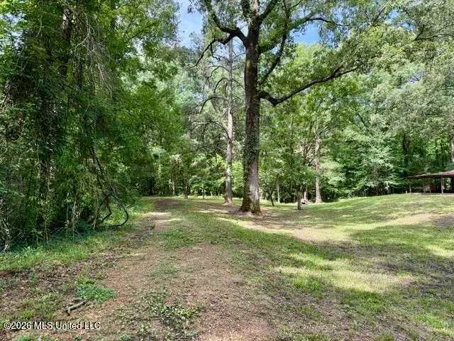 55 Scheffel Road, Natchez, MS 39120 - #3