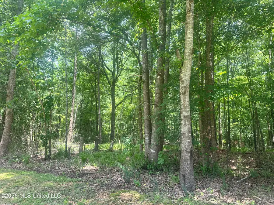 Lakeridge Road, Grenada, MS 38901 - #2