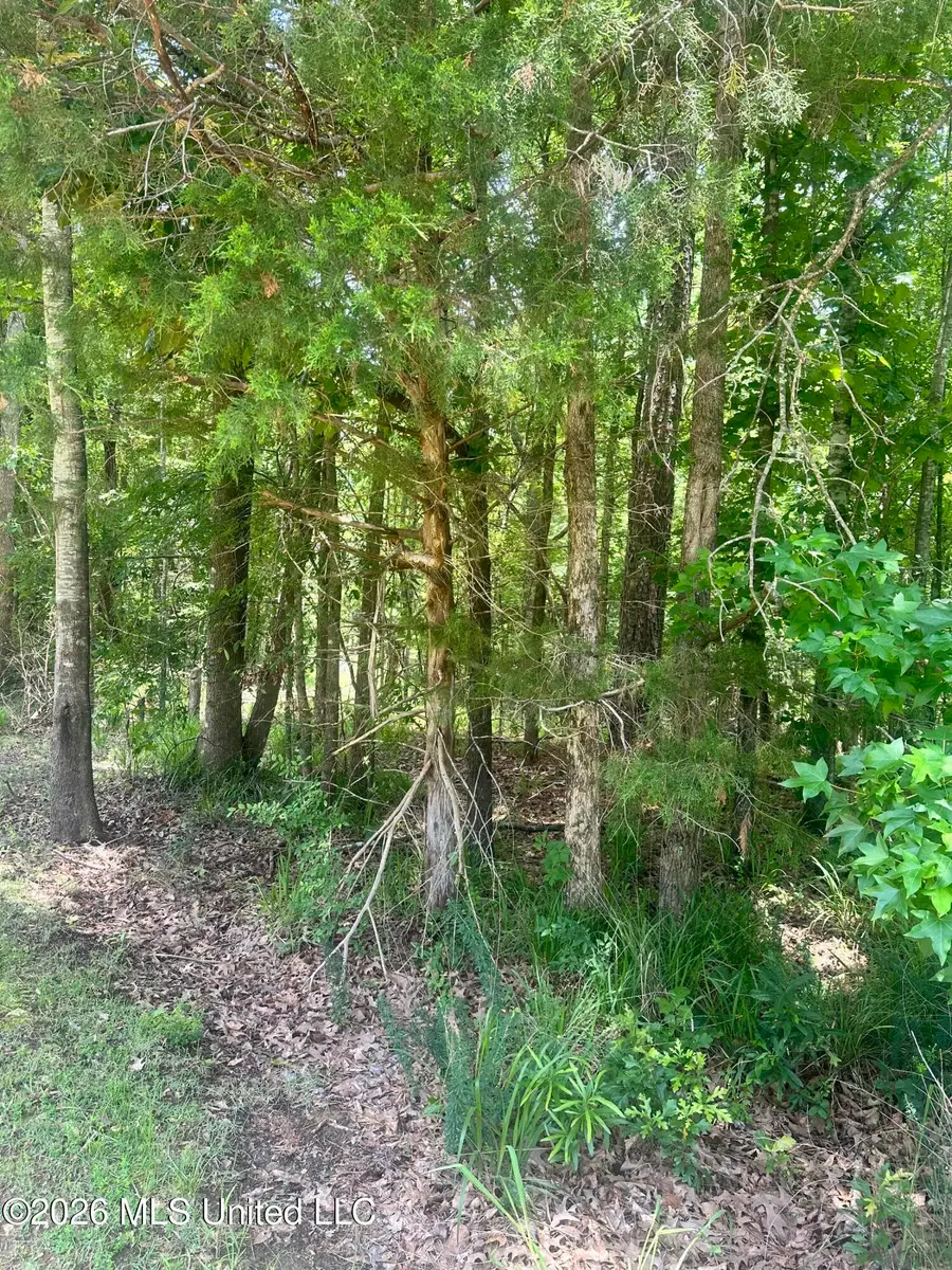 Lakeridge Road, Grenada, MS 38901 - #3