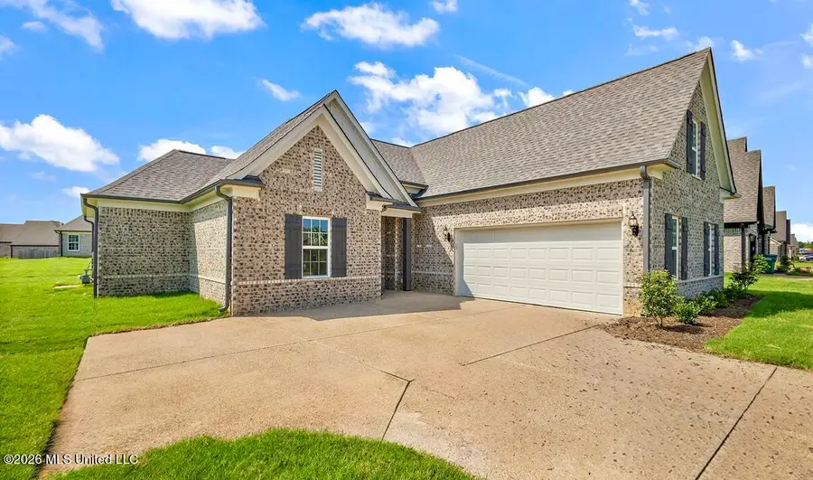 6374 River Lane, Walls, MS 38680 - #3