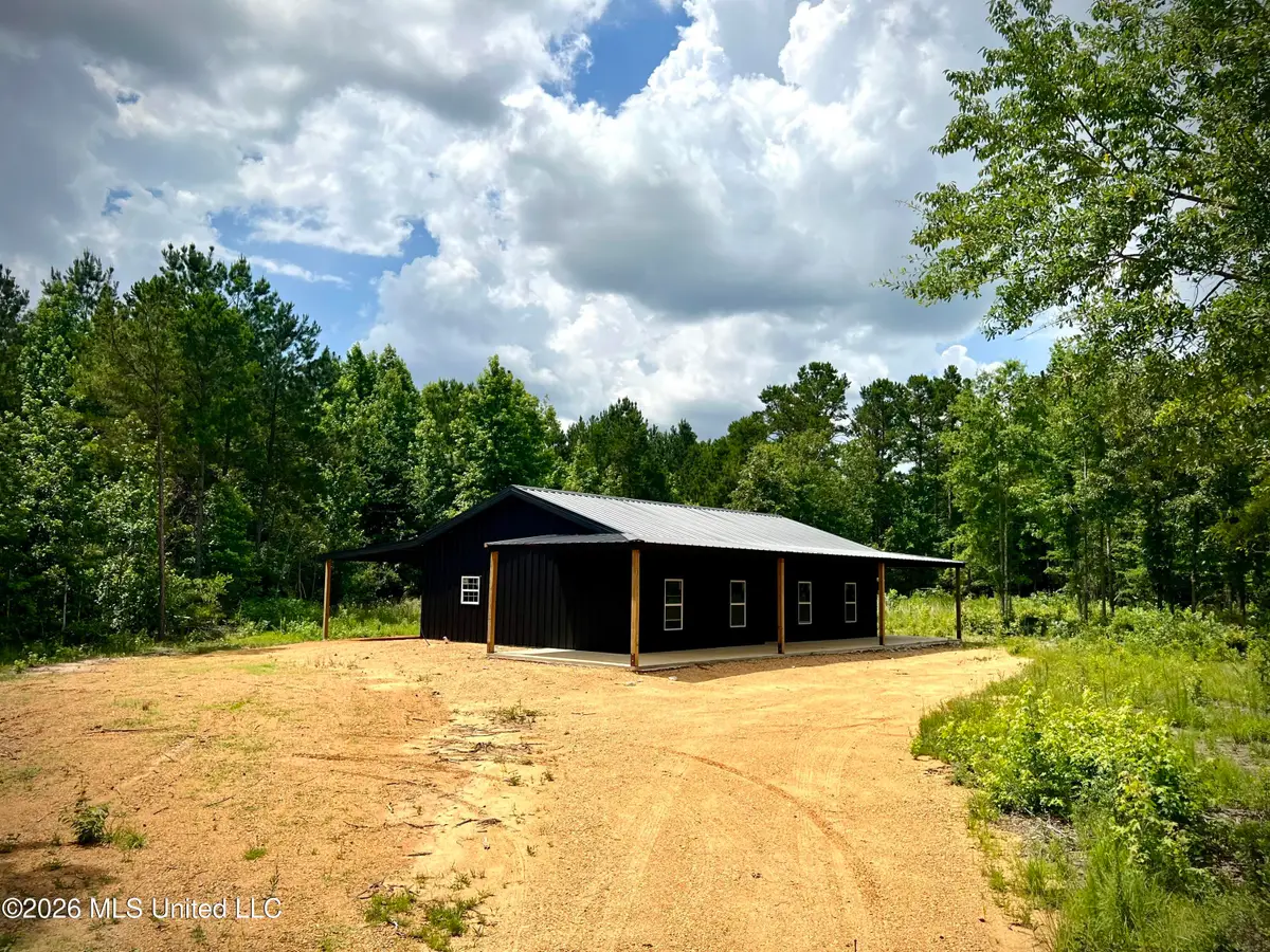 169 Holmesville Road, Jayess, MS 39641 - #1