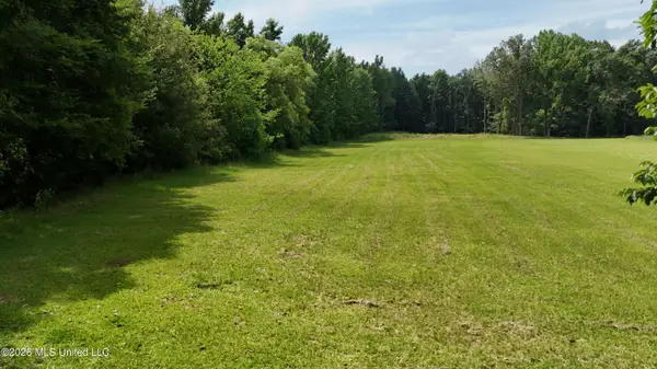 Stout Road, Madison, MS 39110