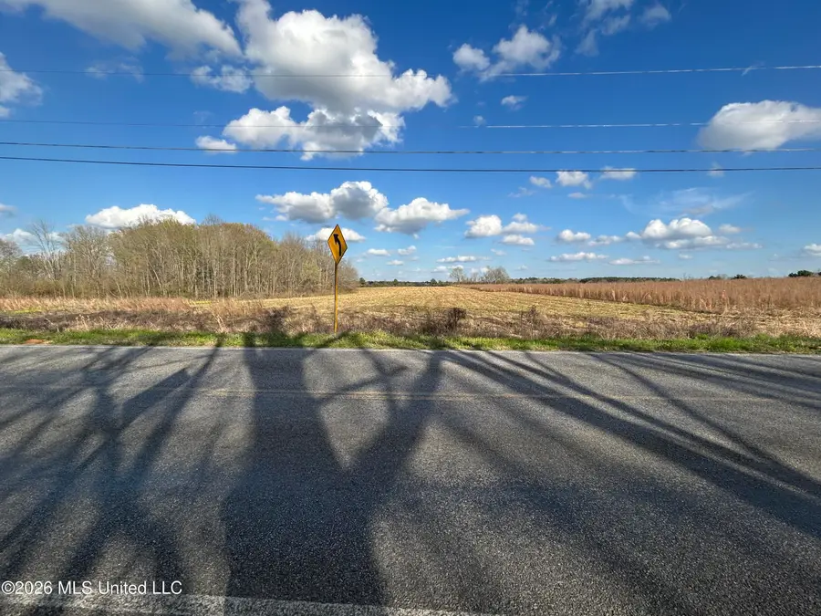 Old Hillsboro Road, Forest, MS 39074 - #3