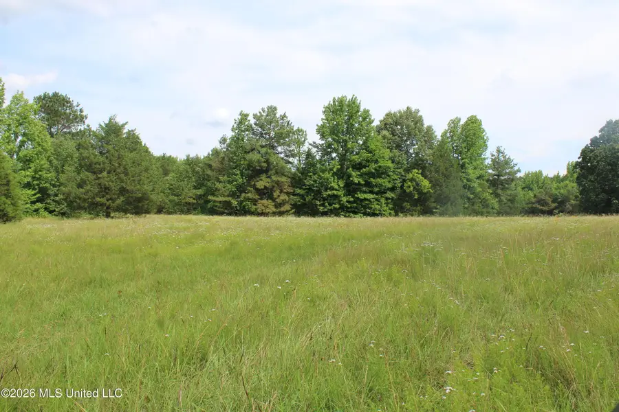 0 Turner Cove, Holly Springs, MS 38635 - #2