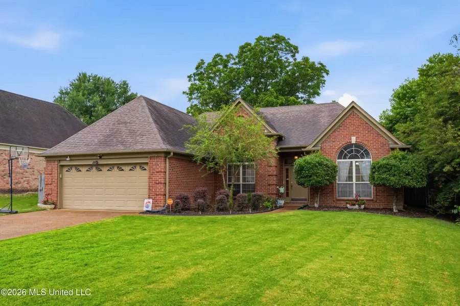 6093 Shadow Oaks Cove S, Olive Branch, MS 38654 - #3