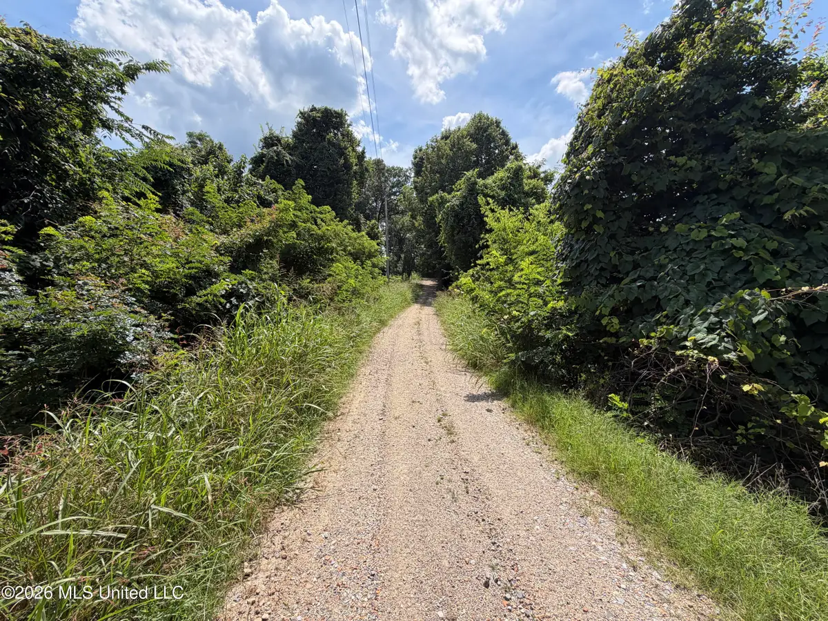 301 Fairview Drive, Vicksburg, MS 39180 - #1