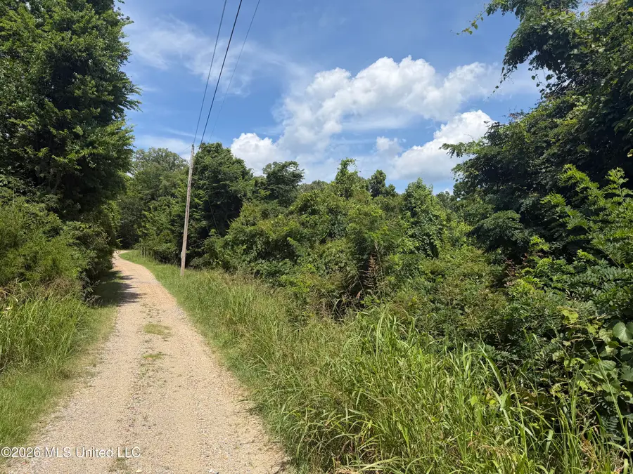 301 Fairview Drive, Vicksburg, MS 39180 - #2