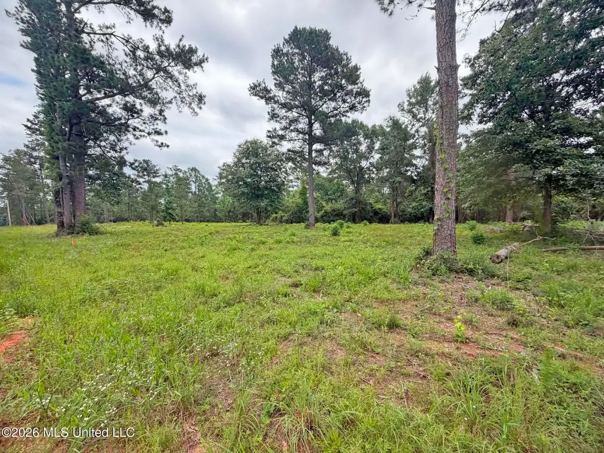 5 Acres N Old 63 N Highway, Lucedale, MS 39452 - #1