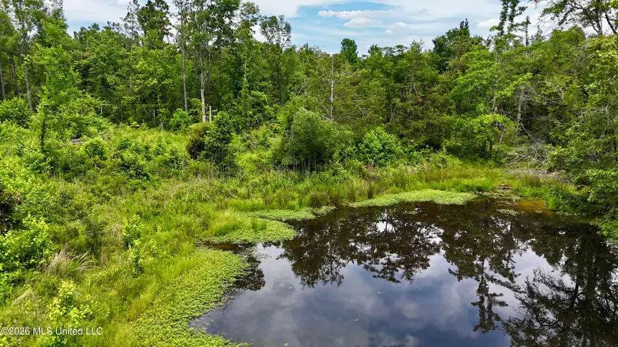 Holly Grove-meeks Road, Cruger, MS 38924 - #3