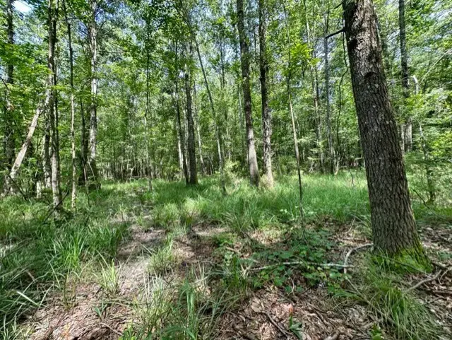 Lee Bass Road, Pinola, MS 39149 - #3