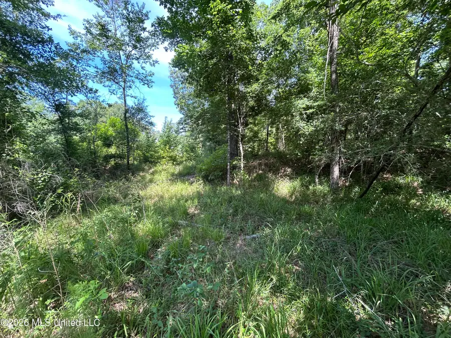 Sleepy Hollow Road, Terry, MS 39170 - #3