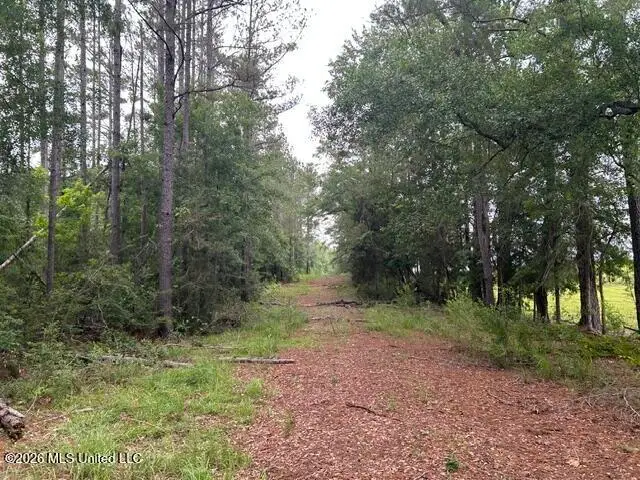 301 Freeman Road, Summit, MS 39666 - #2