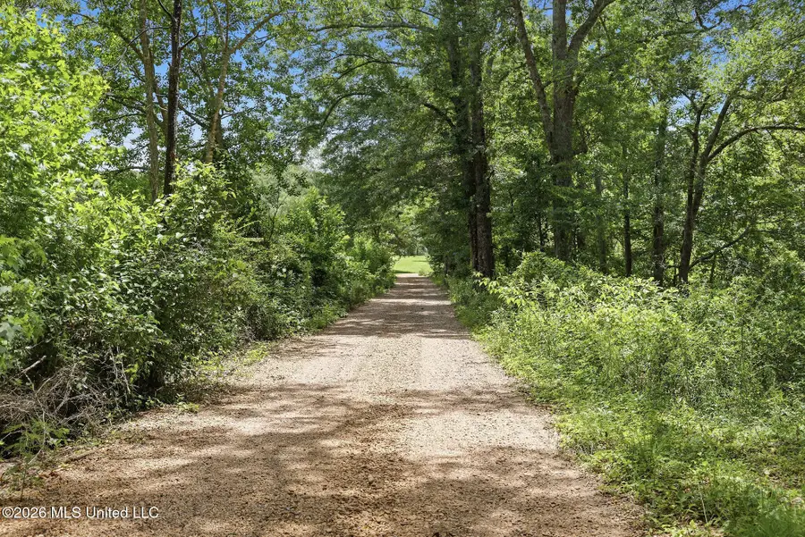 1122 Willis Cotton Road, Summit, MS 39666 - #3