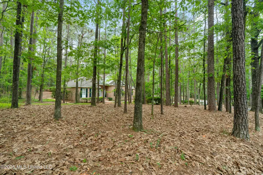 28 Canebrake Boulevard, Hattiesburg, MS 39402 - #3