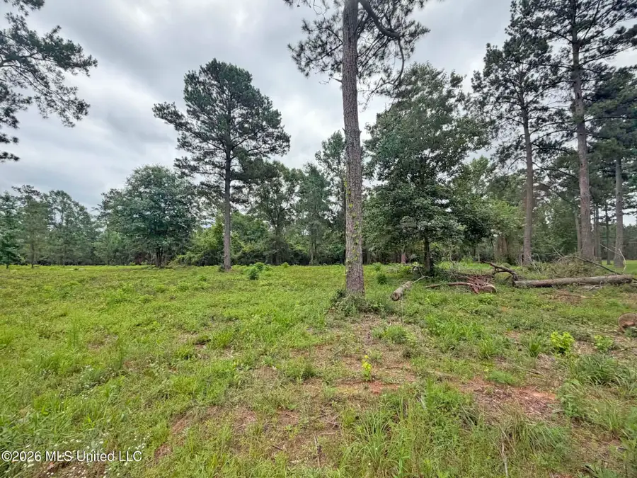 Parcel 3 Old Highway 63, Lucedale, MS 39452 - #3