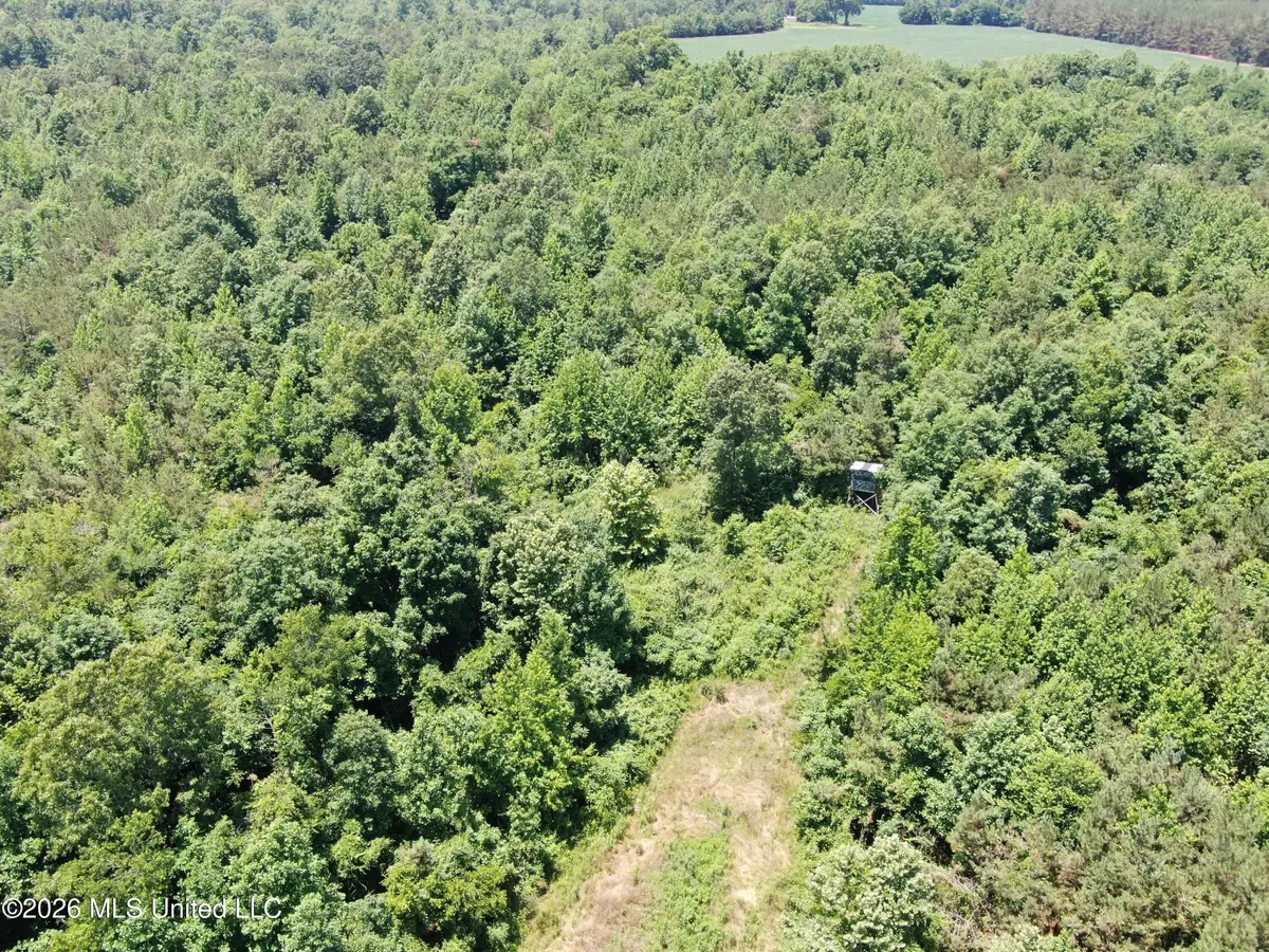 0 Scruggs Road, Holly Springs, MS 38635 - #1