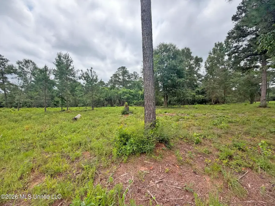 Parcel 5 N Old 63 Highway, Lucedale, MS 39452 - #2