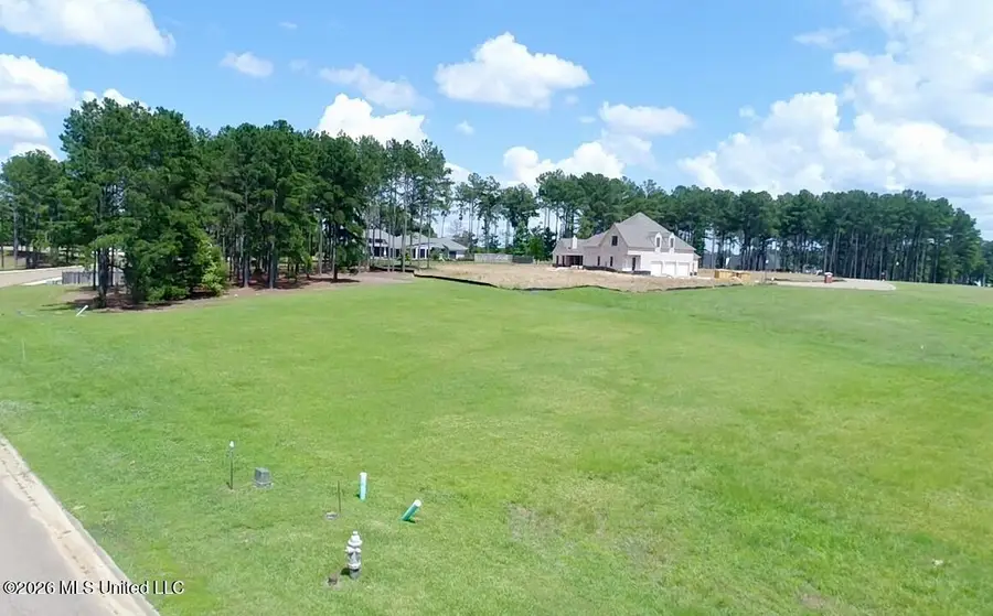 356 Lake Village Drive, Madison, MS 39110 - #3