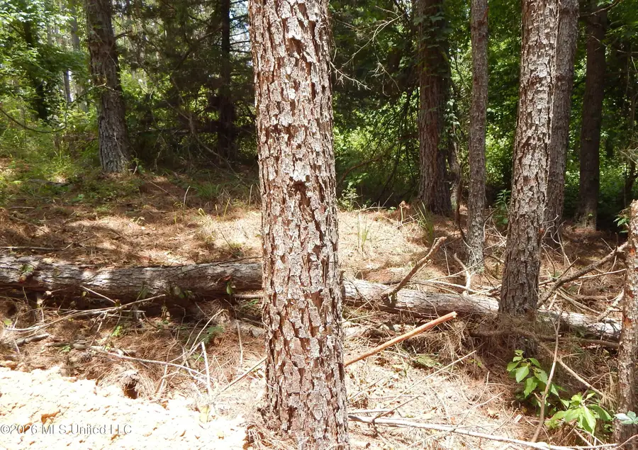 84 Cr 154, Tillatoba, MS 38961 - #3