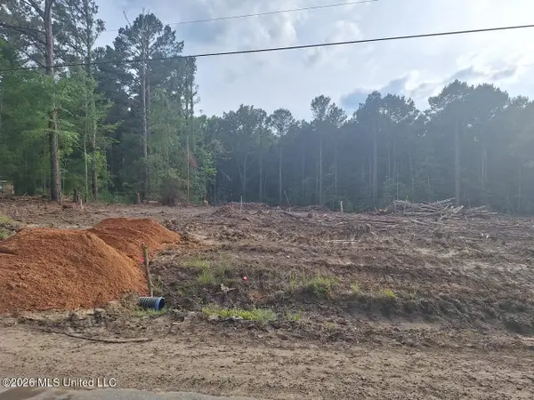709 Old Pinola Braxton Road, Braxton, MS 39044