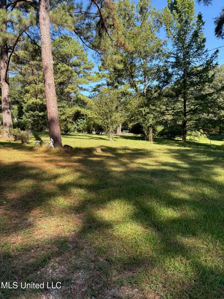 77 Magnolia Acres Road, Natchez, MS 39120 - #2