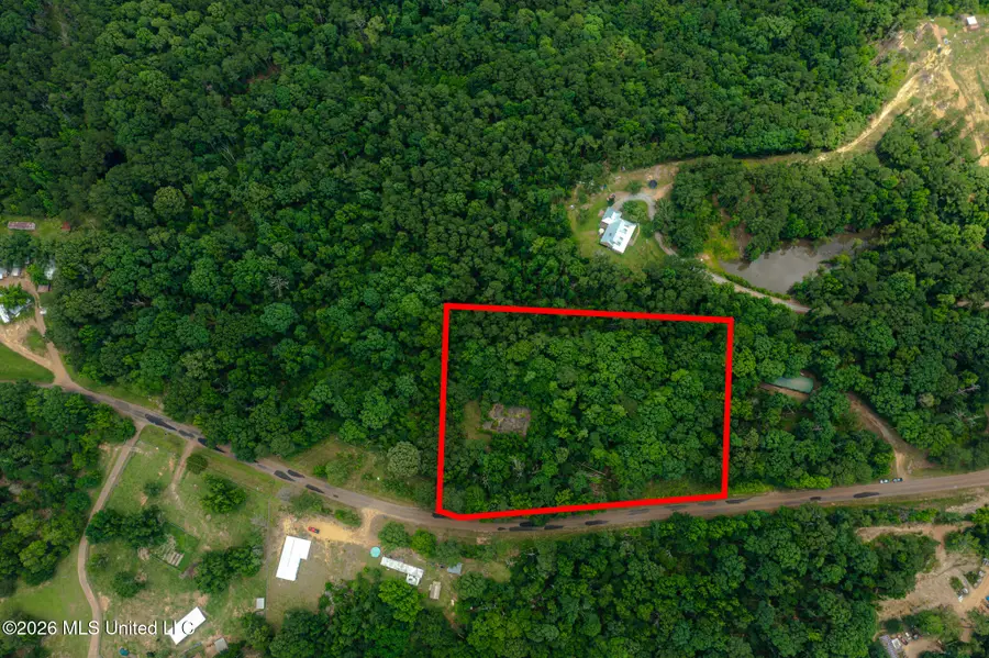 2008 Gallatin Road, Crystal Springs, MS 39059 - #2