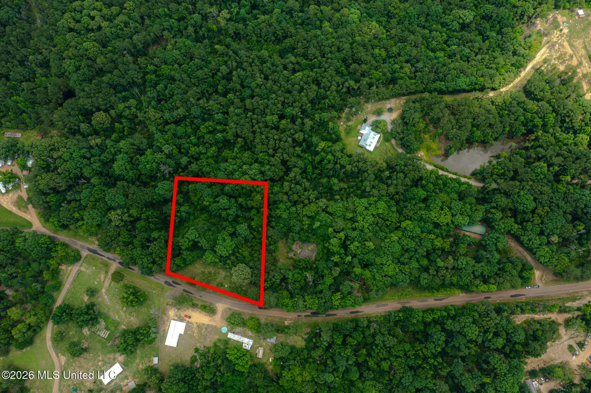 2007 Gallatin Road, Crystal Springs, MS 39059 - #1