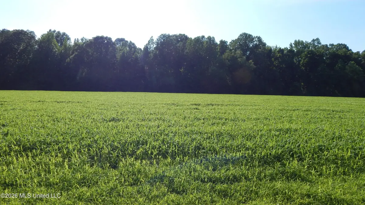 500 Cr 247 Country Road, Bruce, MS 38915 - #1