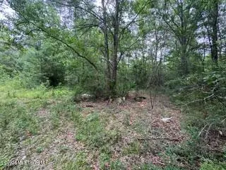 11102 Coleman Road, Gulfport, MS 39503 - #3