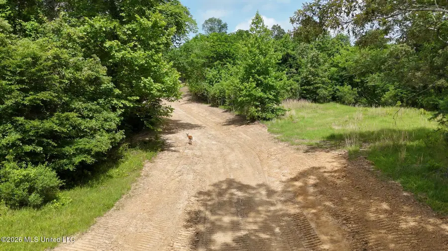 0 Dogwood Road, Vicksburg, MS 39180 - #3