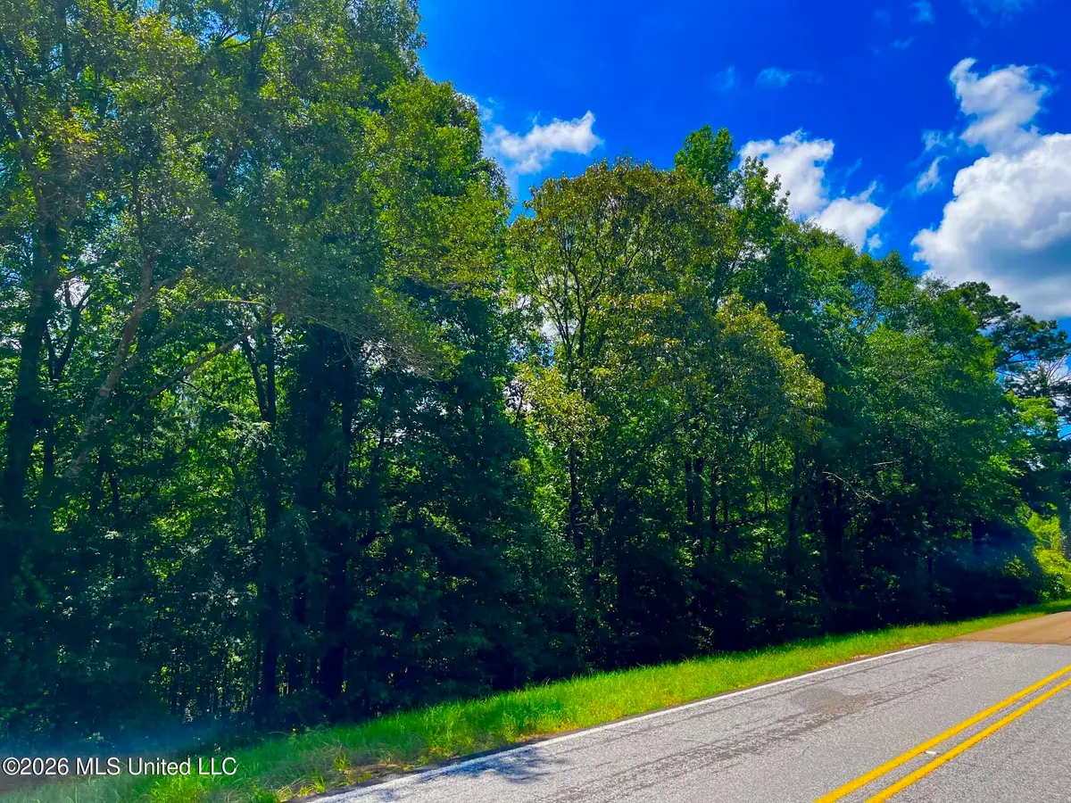 F E Sellers Highway, Monticello, MS 39654 - #1