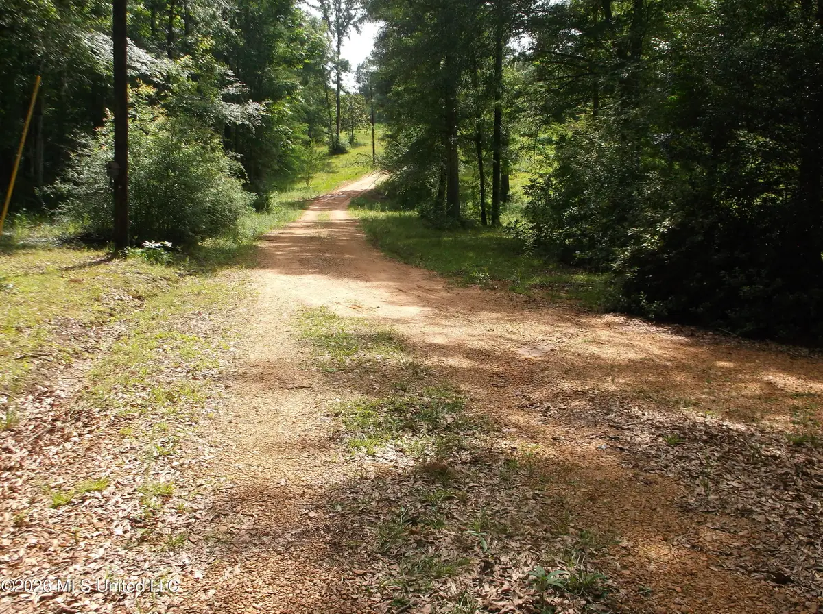 1090 Moak Road, Summit, MS 39666 - #1