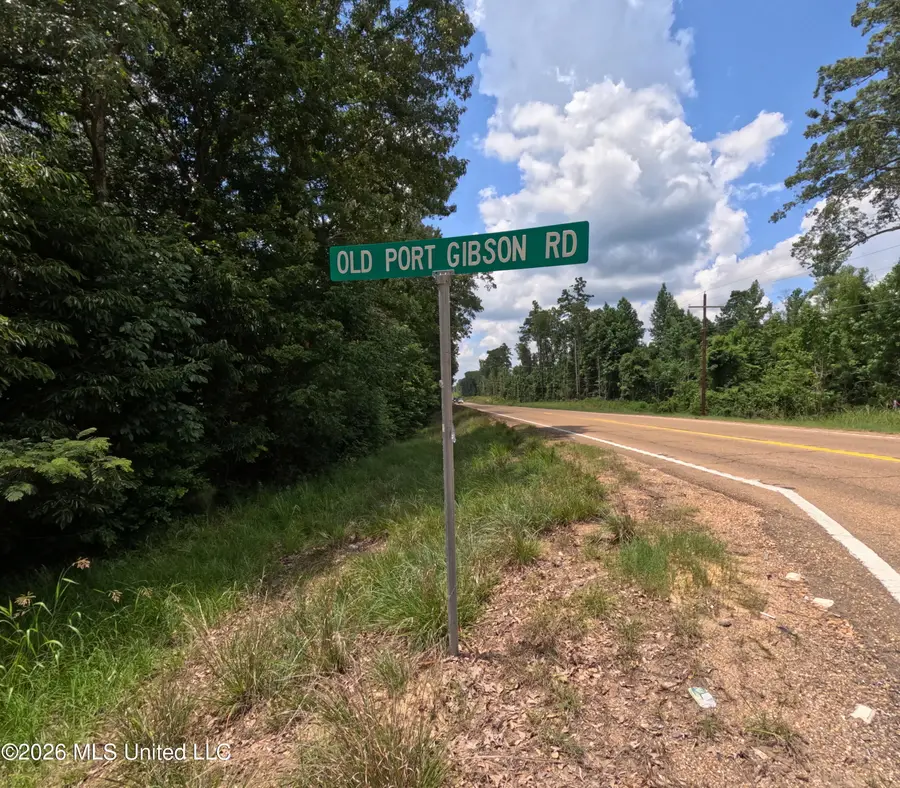 Old Port Gibson Road, Utica, MS 39175 - #2