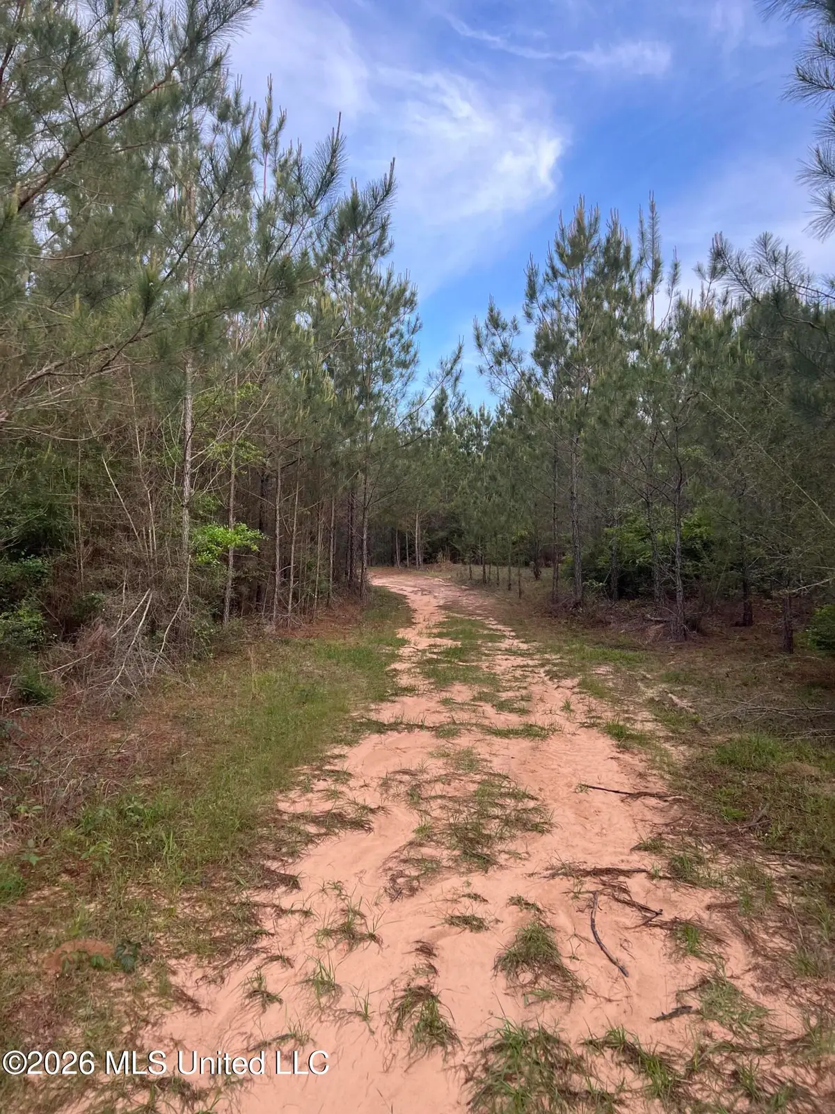 County Road 230, Shubuta, MS 39360 - #1