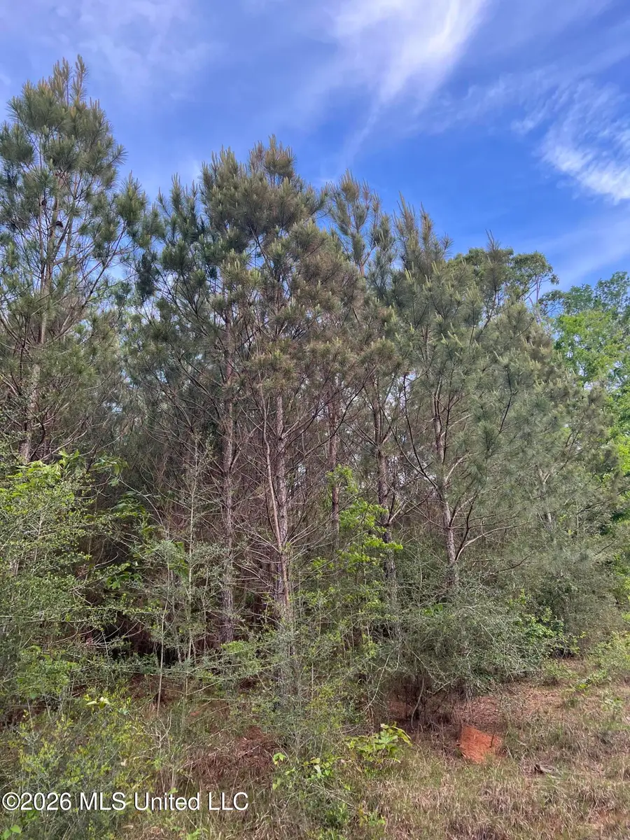 County Road 230, Shubuta, MS 39360 - #3